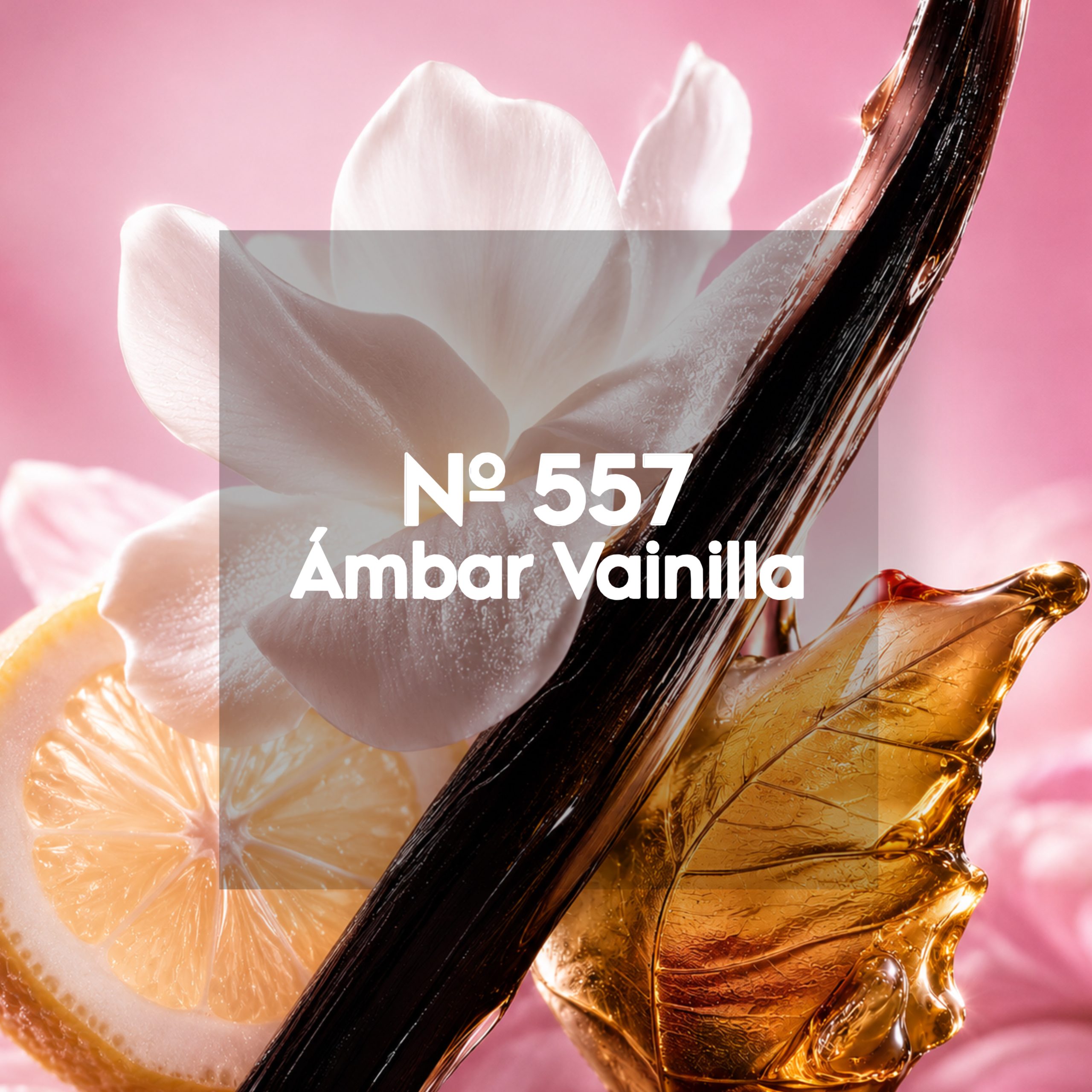 Nº 557
