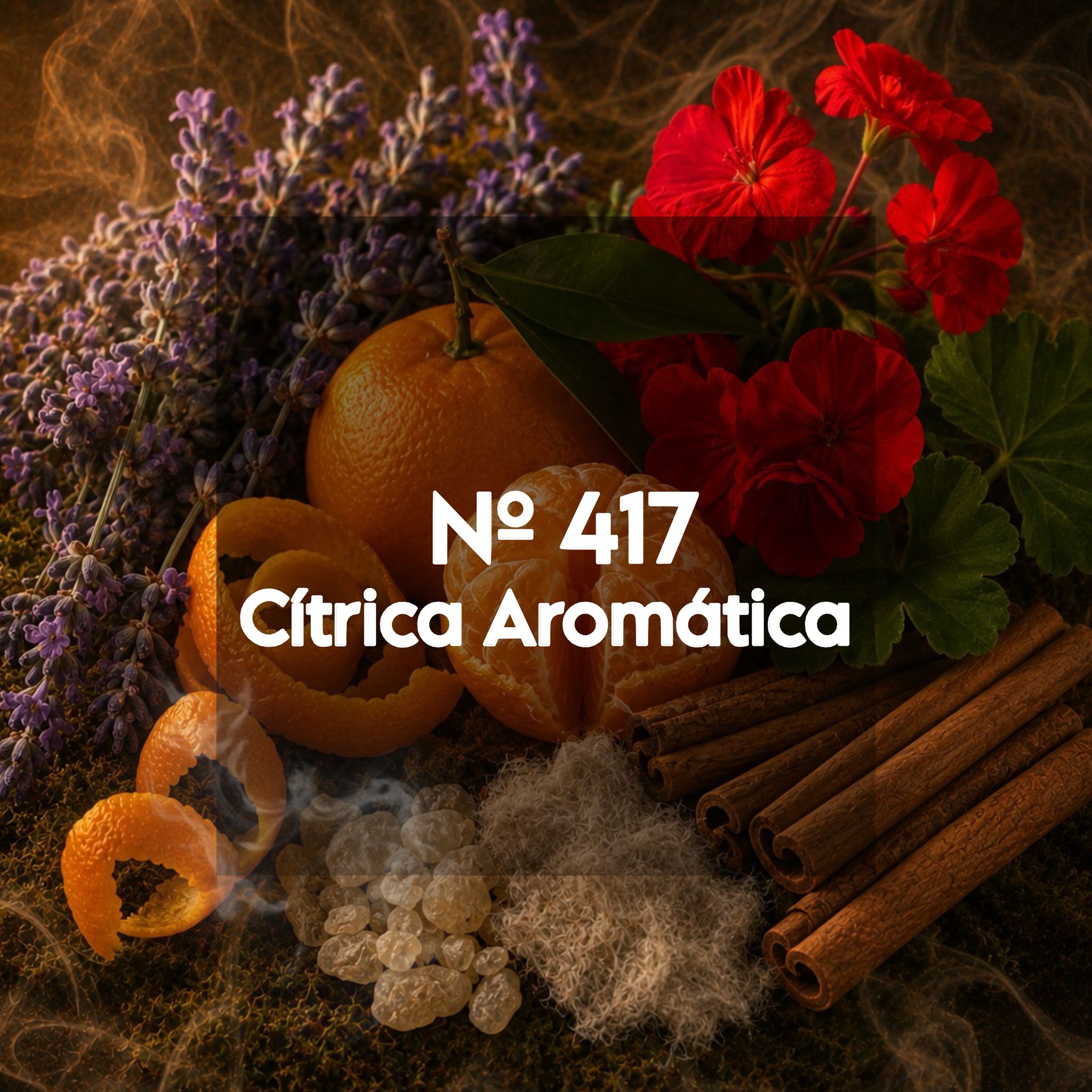 Nº 417